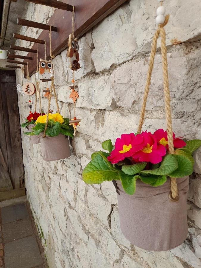 Apartamento Kalipe Dolomiti Soffranco Exterior foto