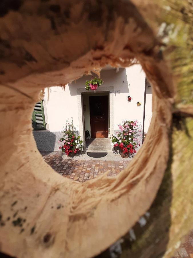 Apartamento Kalipe Dolomiti Soffranco Exterior foto